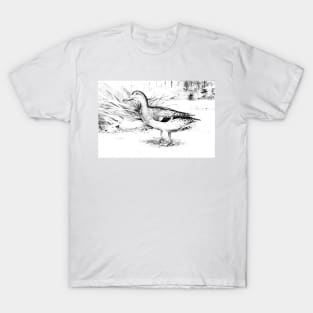 Mallard Duck Digitally Enhanced In Black And White T-Shirt